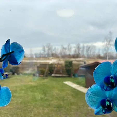 Nad Zatoka 게스트하우스